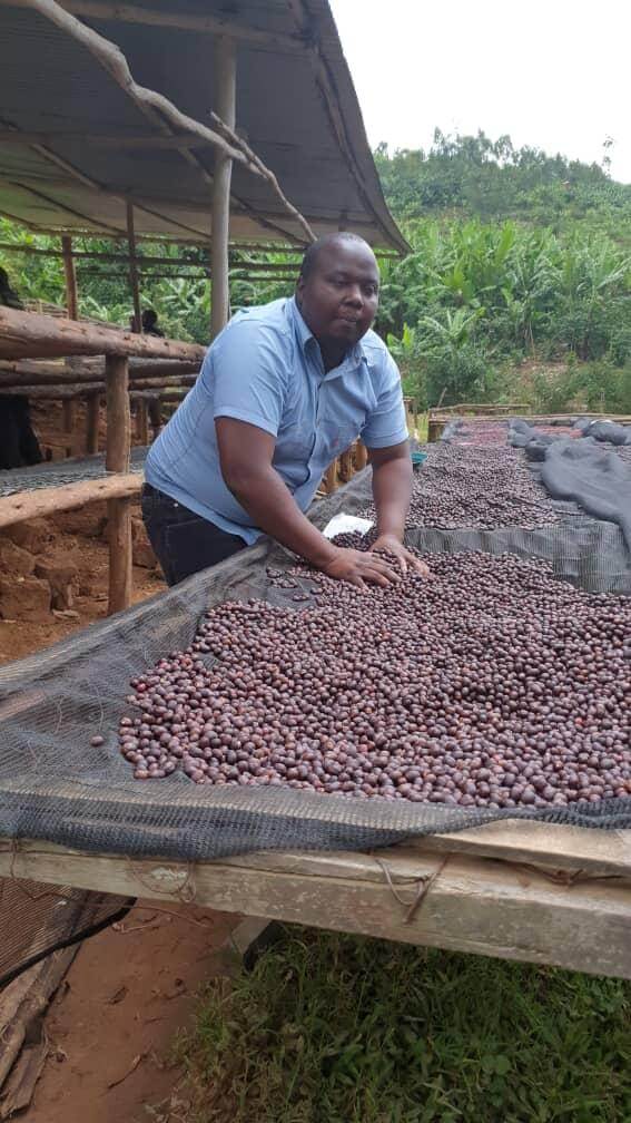 Ruanda Baho Kaffeefarm