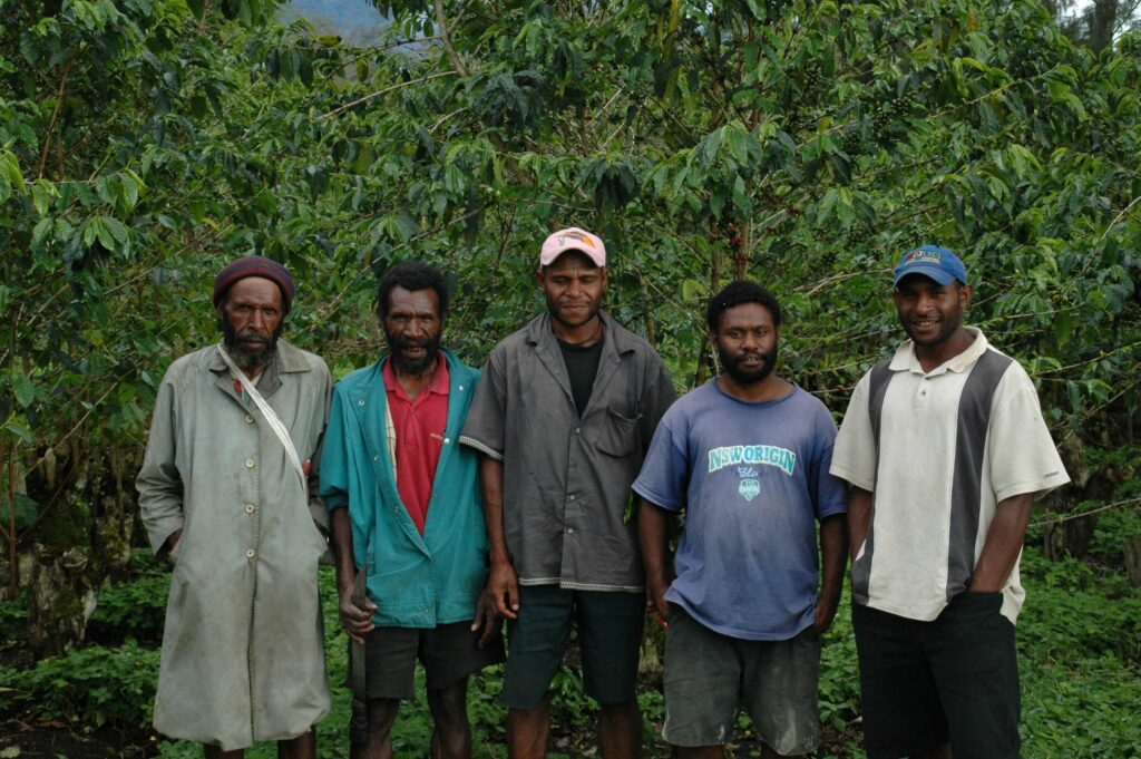 Saisonaler Kaffee Papua Neuguinea - DSC_3703